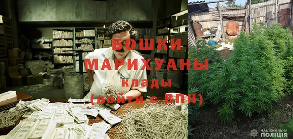 сатива Зеленодольск