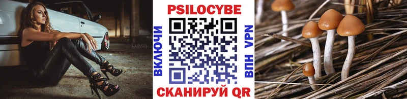 купить наркотик  Севск  Галлюциногенные грибы Magic Shrooms 